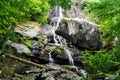 Apple Orchard Falls, Virginia, USA Royalty Free Stock Photo